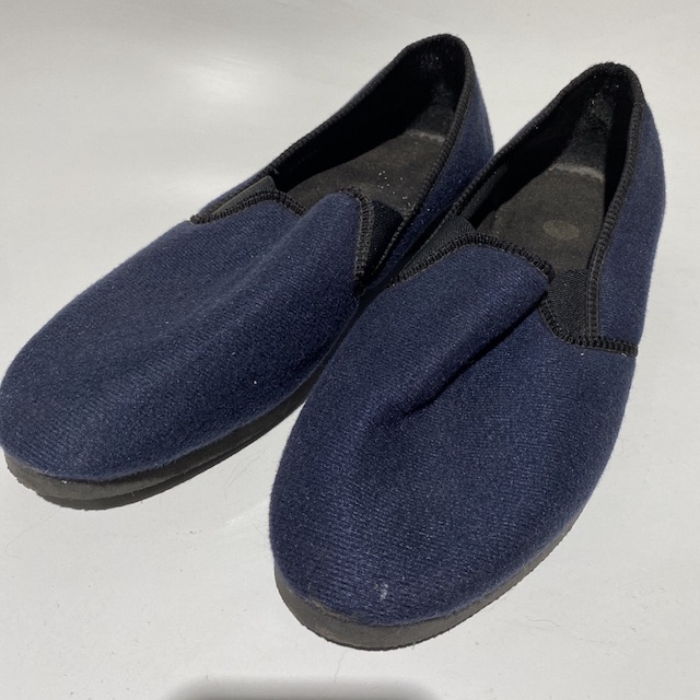 SLIPPER, Pair Men's Blue